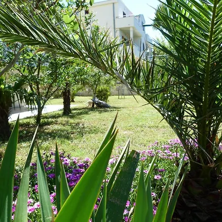 Ana * Стариград-Пакленица