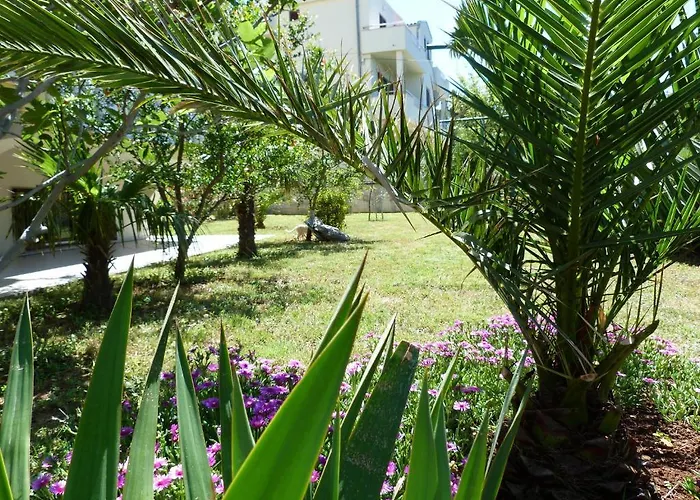 Ana * Starigrad Paklenica